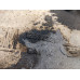 GZN502 Engine Oil Pan For 03-09 Chevrolet Trailblazer  4.2 12584321
